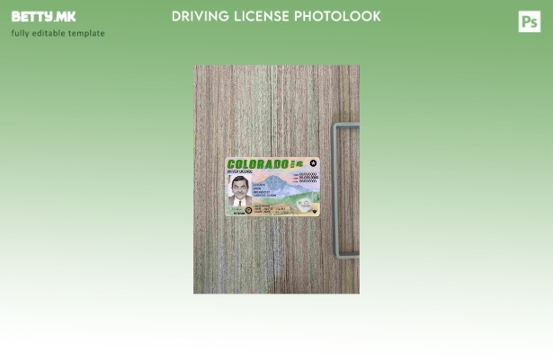 модерен стил САД Колорадо возачка дозвола претставува photolook ФРОНТ шаблон